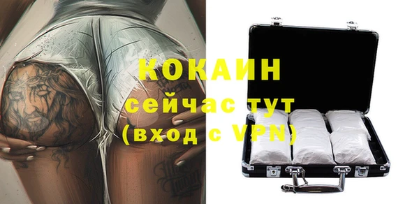 индика Няндома