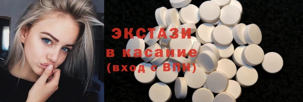 индика Няндома