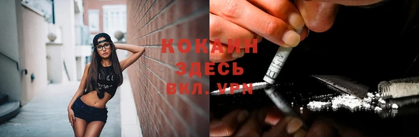соль ск Алексеевка