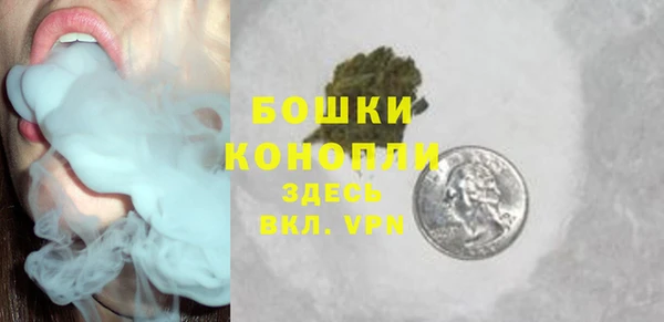 индика Няндома