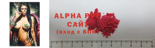 индика Няндома