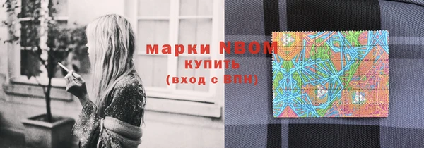 индика Няндома