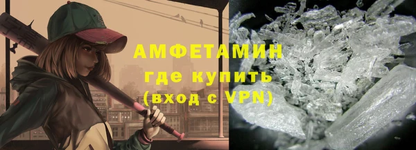 индика Няндома